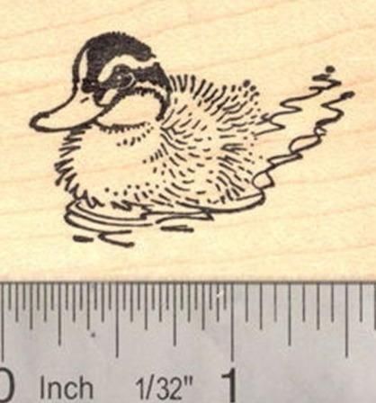 Duckling in Water Rubber Stamp, Duck Pond Pond Drawing, Water Tattoo, Duck Pond, Little Duck, Cute Doodles Drawings, Doodle Art Designs, Mini Drawings, Arte Animal, Pen Art