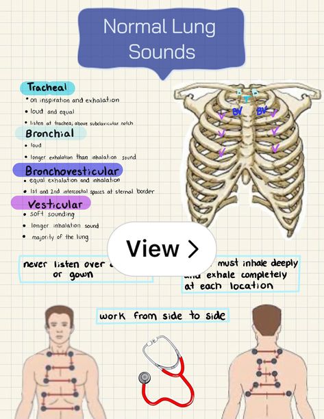 Monicaaa on Lemon8 Lungs Anatomy, Crna School, Pt School, Nursing School Life, Lung Anatomy, Lung Sounds, Lung Cleanse, Basic Anatomy, Physical Therapy Student