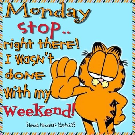 Garfield Quotes, Funny Good Morning Messages, Monday Humor Quotes, Monday Morning Quotes, Morning Quotes For Friends, Funny Day Quotes, Fb Quote, Good Morning Happy Monday, Good Morning Funny Pictures