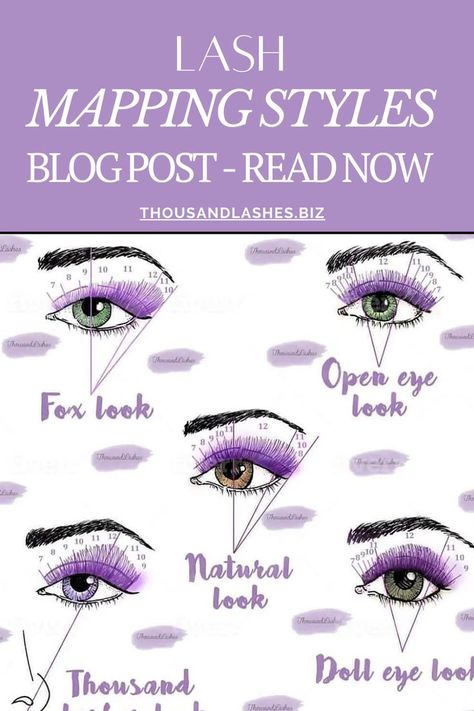 Lash Mapping Styles, Eye Lash Style, Making A Plan, Lash Mapping, Eyelash Extension Training, Eyelash Technician, Lash Extensions Styles, Eyelash Extensions Styles, Curl Lashes