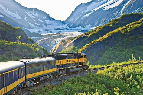 The most luxurious US train trips that are worth the splurge Alaska Train, Coast Starlight, Train Vacations, Grand Canyon Railway, Alaska Railroad, Alaska Vacation, Scenic Railroads, Train Tour, Luxury Train