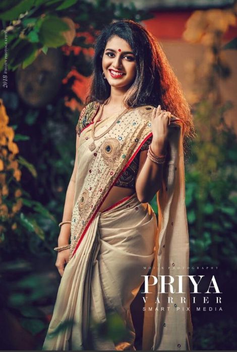 Mollywood Celebrities Vishu Photoshoot : See Pics Onam Photoshoot, Priya Varrier, Ethnic Gowns, Priya Prakash, New Saree, New Saree Blouse Designs, फोटोग्राफी 101, Saree Photoshoot, Wedding Sarees