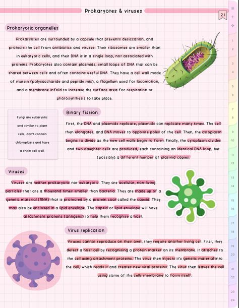 #cute #aesthetic #biology #notes #study #student Biology Ecology Notes, Viruses Biology Notes, Glycolysis Notes, Ecology Notes, Aesthetic Biology Notes, Biology Notes Aesthetic, Microbiology Aesthetic, Aesthetic Biology, Biology Aesthetic