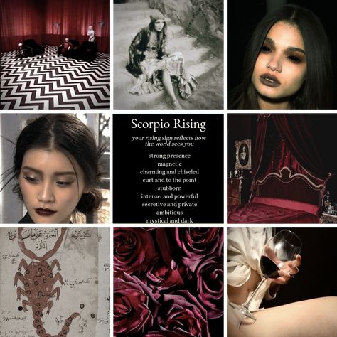 Scorpio rising / ascendent zodiac sign mood board and aesthetic Rising Sign Scorpio, Rising Scorpio Ascendant, Rising In Scorpio, Zodiac Scorpio Aesthetic, Rising Scorpio Aesthetic, Scorpio Rising Appearance, Scorpio Mood Board, Scorpio Aesthetic Moodboard, Scorpio Sun Aesthetic