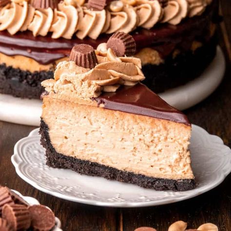 Peanut Butter Cheesecake - In Bloom Bakery Peanut Butter Fudge Cheesecake, Chocolate Ganache Whipped, Fall Cheesecake Recipes, Peanut Butter Ganache, Butter Ganache, Pumpkin Cheesecake Cookies, Bloom Bakery, Whipped Peanut Butter, Perfect Cheesecake