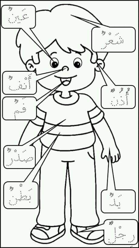 Anggota badan Kertas Kerja Prasekolah, Aktiviti Prasekolah, Arabic Handwriting, Body Parts Preschool, Muslim Kids Activities, Arabic Alphabet Letters, Islamic Kids Activities, Aktiviti Kanak-kanak, Learn Arabic Online