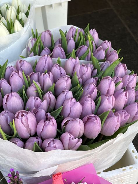 Lilac Tulips, Tulip Flower Pictures, Purple Flower Bouquet, Sunflowers And Daisies, Purple Bouquet, Boquette Flowers, Tulip Bouquet, Flowers Purple, Nothing But Flowers