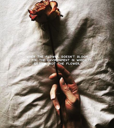 No Ordinary Girl, Rose Quotes, Moving On Quotes, Rosé Aesthetic, Quotes Inspirational Positive, Flower Quotes, Tumblr Quotes, Trendy Quotes, Aesthetic Words