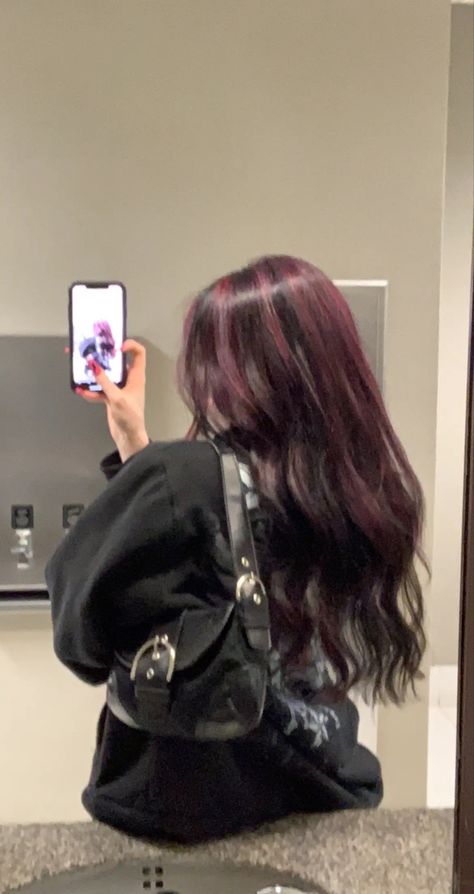 Self Dyed Hair, K Pop Idols Hair Color, Purple Hair On Dark Brown Hair, Long Black Hair With Pink Highlights, Streaks In Hair Black Hair, Plum Dark Hair, Skunk Hair Straight, Fun Hair Colours For Brunettes, Haircolors Warm Skin