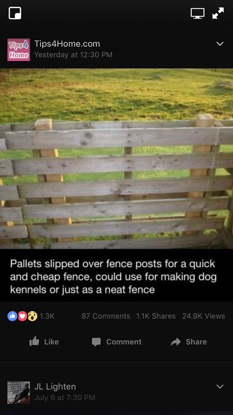 Cheap Fencing, Diy Fence Ideas Cheap, Homestead Inspiration, Cheap Fence, Pallet Fence, Long Kitchen, Diy Fence, Building A Fence, Building A Chicken Coop