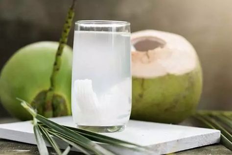 Buktikan Manfaat Minum Air Kelapa Campur Lemon dan Nanas Healthy Food For Men, Hydrating Foods, Coconut Water Benefits, Air Kelapa, Water Benefits, Baby Drinks, Coconut Health Benefits, Fiesta Tropical, Popular Drinks