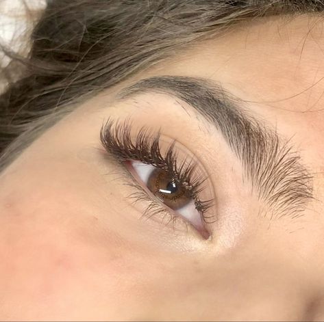 Brown Lash Wet Set Natural Thick Eyelash Extensions, False Lashes For Almond Eyes, Blond Lash Extensions, Natural Thick Lashes, Brown Fake Lashes, Natural Lash Extensions Brown, Dark Brown Eyelash Extensions, Brown Wet Set Lashes, Eyelash Extensions With Glasses