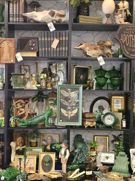 Vintage Stall Display, Antique Shelves Display Ideas, Victorian Curiosity Cabinet, Antique Shop Booth Display Ideas, Store Front Decorating Ideas, Halloween Antique Booth Ideas, Dark Academia Store, Collections Of Objects Display, Apothecary Library