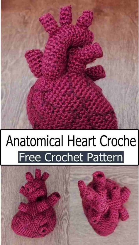 Crochet Realistic Heart Crochet Patterns For Him, Anatomical Heart Crochet Pattern Free, Biology Crochet Pattern, Crochet Brain Amigurumi, Crochet Gifts For Boys Kids, Crochet Chainmail Pattern, Sacred Heart Crochet Pattern, Crochet Organs Free Pattern, Medical Crochet Pattern Free