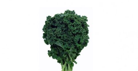 How Important is Dietary Purity Kale Benefits Health, Green Leafy Vegetables, Growing Kale, Green Things, Green Stuff, Leafy Vegetables, Leafy Greens, Veggie Garden, Permaculture