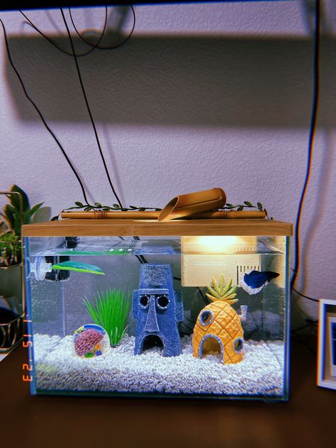 Spongebob Fish Tank Ideas, Room Fish Tank Ideas, Dorm Fish Tank, Mini Fish Tank Ideas, Fish Aquarium Ideas Small, Fish Tank Aesthetic Bedroom, Cute Betta Fish Tank Ideas, Fish Tank Decorations Ideas, Fish Pet Aesthetic