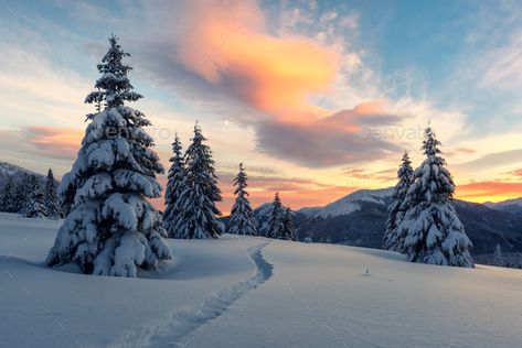 Dramatic wintry scene with snowy trees. by ivankmit. Fantastic orange winter landscape in snowy mountains glowing by sunlight. Dramatic wintry scene with snowy trees. Chr... #Sponsored #trees, #ivankmit, #Fantastic, #snowy Snow On The Mountain, Winter Landscape Photography, Mountains Aesthetic, Christmas Landscape, Snowy Trees, Winter Sky, Mountain Wallpaper, Winter Nature, Mountain Photography