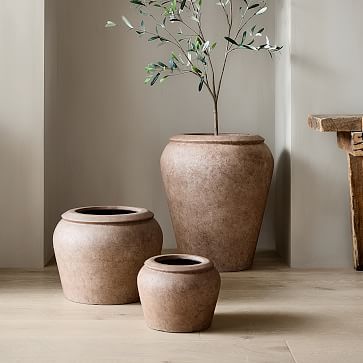 Black Olive Tree, Modern Planters Outdoor, Planter Liners, Outdoor Urns, Olive Plant, Colin King, West Elm Kids, Patio Planters, Indoor Outdoor Planter