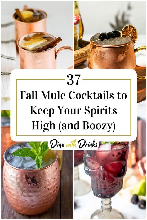 Collage of 4 fall mule cocktails. Autumn Mule Recipe, Mules Drinks Cocktail Recipes, Fall Moscow Mule Drinks, Big Batch Moscow Mule Recipe, Fall Mules Cocktail, Halloween Mule Cocktail, Fall Mule Drink Recipes, Thanksgiving Mule Drinks, Fall Moscow Mule Recipe