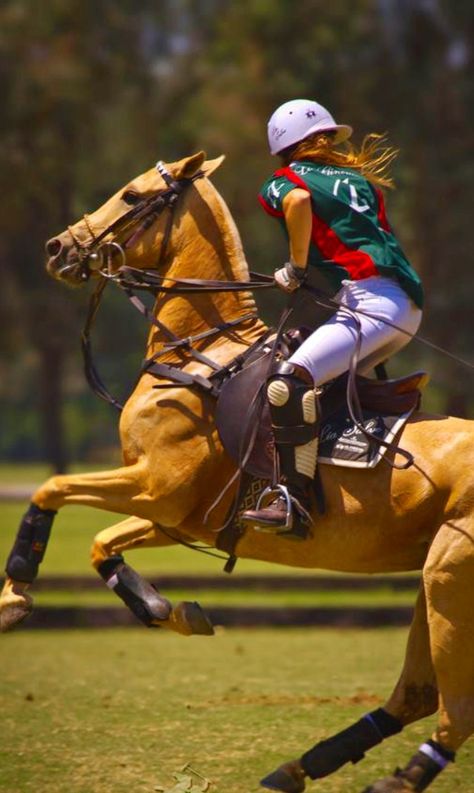 Chicks with sticks - @Jahna Salvo maybe you should try polo instead of western!! It's so much fun...and kind of like hockey on horseback! Horse Images, Equestrian Photography, Cow Boys, Polo Horse, Dream Horse, Sport Of Kings, Polo Pony, Equestrian Sports, Sport Horse