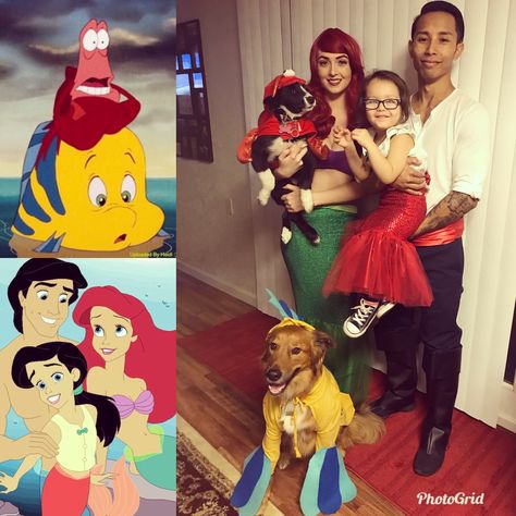 little mermaid family costume #Ariel #Melody #Eric #Flounder # Sebastian Little Mermaid Family Costume, Mermaid Family Costume, Sebastian Little Mermaid, Family Costume Halloween, Melody Little Mermaid, Mermaid Family, Mermaid Disney, Family Costumes, Family Halloween Costumes