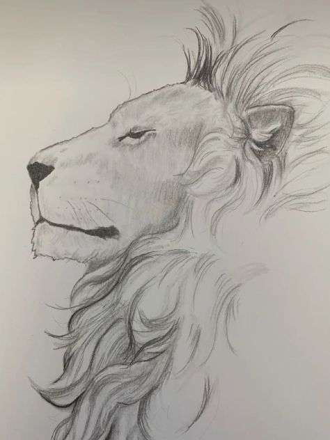 Animal Pencil Shading, Lion Sketches Pencil, Cat Drawing Shading, Animal Shading Drawing, Lion Side Profile Drawing, Lion Sketch Simple, Lion Sketch Pencil, Drawing Ideas Lion, Lion Drawing Pencil