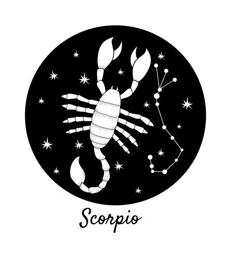 Scorpion Constellation, Scorpion Symbol, Zodiac Signs Colors, Constellation Scorpio, Zodiac Aesthetic, Signs Horoscope, Scorpio Zodiac Sign, November Birthday Gifts, Month Signs