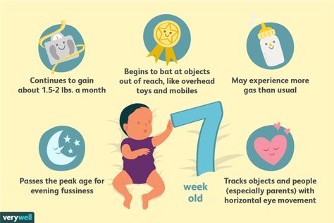 Your 7-Week-Old Baby’s Development 7 Month Baby Milestones, 7 Month Milestones, 7 Week Old Baby, Infant Room Daycare, Baby Development Milestones, 7 Month Baby, Baby Captions, 5 Month Old Baby, Development Milestones