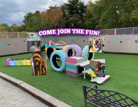 Cbus Dog Park Bar Design, Dog Park Ideas Play Areas, Pet Daycare Ideas, Dog Park Ideas Backyards, Dog Daycare Event Ideas, Best Dog Parks, Doggy Playground Backyards, Indoor Dog Park Ideas, At Home Dog Boarding Ideas