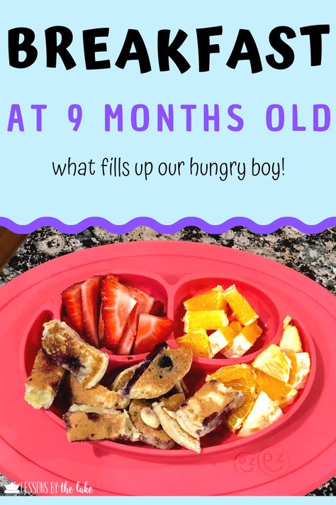 Here I share finger food meal ideas that I used with my 9 month old boy! Ideas for breakfast lunch and dinner are shared! #babyfood #babyledweaning #fingerfood #babymeals Food Meal Ideas, 9 Month Baby Food, Whole Wheat Waffles, Baby Breakfast, Whole Wheat Pancakes, Easy Baby Food Recipes, Ideas For Breakfast, Healthy Baby Food, Baby Finger Foods