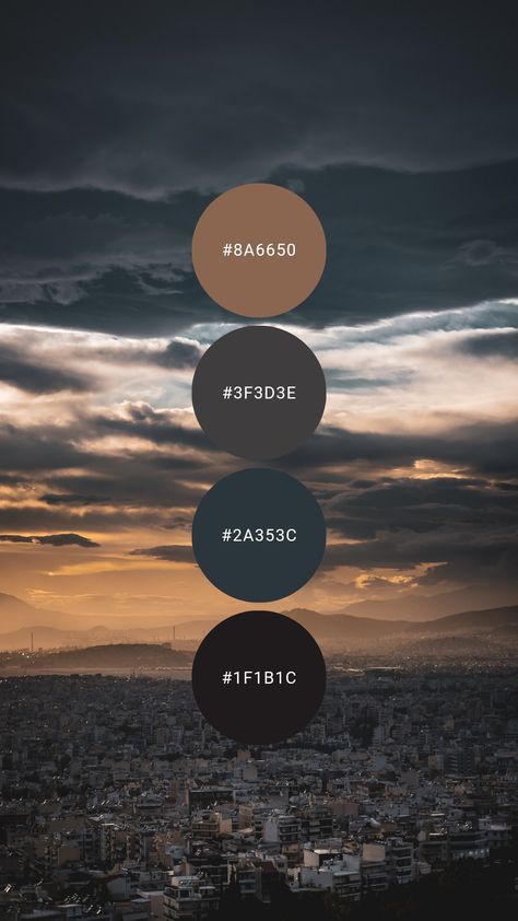 Navy Neutral Color Palette, Masculine Color Palette Hex Codes, Muted Moody Color Palette, Dark Luxury Color Palette, Dark Navy Color Palette, Masculine Painting Ideas, Charcoal Colour Palette, Masculine Colour Palette, Navy Blue Color Palette Colour Schemes