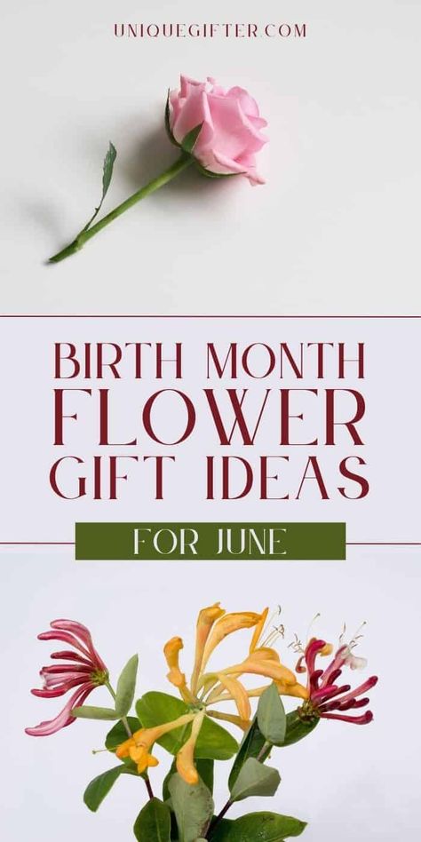 June Birth Flower Gift Ideas | Honeysuckle Flower Gifts | Rose Floral Gift Ideas | June Birthday Flower Gifts | Gifts for a June Birthday #junebirthdayflower #honeysucklegifts #roseflowergifts #junebirthdaygifts #giftideas June Birthday Flower, Floral Gift Ideas, June Birth Flower, Superhero Gifts, Honeysuckle Flower, Flower Gift Ideas, Birthday Flower, June Birthday, Gift Suggestions