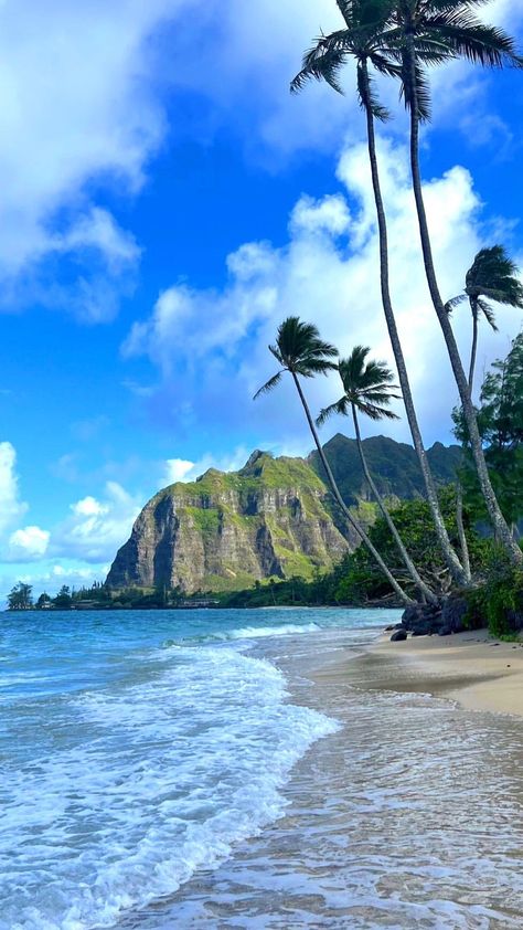 visit.hawaii on Instagram: 🌈 Would you like to swim in the crystal clear waters of Hawaii? 🥰🏝🍍💚🌊🐚✨ ➖➖➖➖➖➖➖➖➖➖➖➖➖ ➢ Follow » @Visit.Hawaii ➖➖➖➖➖➖➖➖➖➖➖➖➖ ➢ Follow »… Beautiful Places In Hawaii, Honaloulou Hawaii, Hawaii City, Hawaii Water, Pictures On Wall, Hawaii Instagram, Hawaiian Cruises, Art For Walls, Hawaii Things To Do