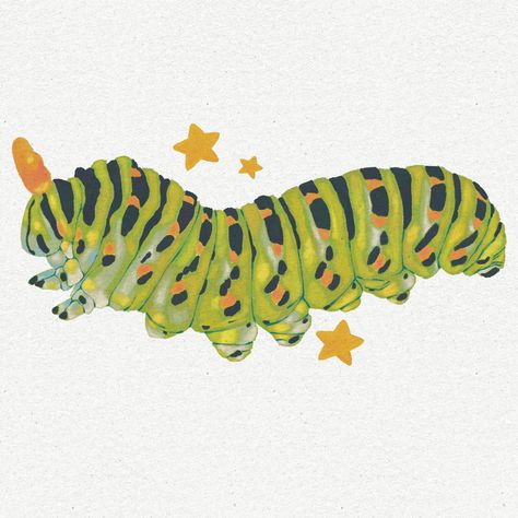 Chunky Caterpillar 🐛 #caterpillar #bugart #bugillustration #cutebugs #bugs #natureart #natureillustration #illustrators #illustratorsoninstagram #illustragram #artistsoninstagram Cute Critters Illustration, Caterpillar To Butterfly Art, Cattipillars Drawing, Silly Bug Drawing, Carnivorous Plant Illustration, Random Shapes Drawing, Cicada Art Illustration, Bugs Sketchbook, Pattern Art Ideas