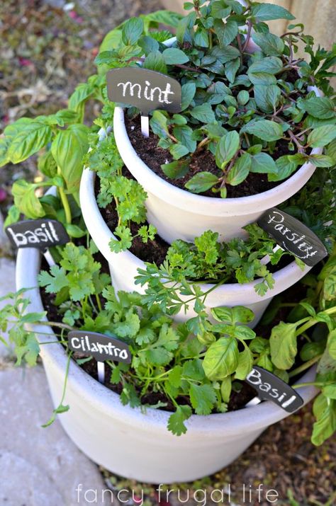 Apartment Patio Gardens, Small Herb Gardens, Small Patio Decor, Jardim Diy, Garden Patio Decor, Herb Garden Design, Budget Patio, Indoor Herb Garden, Herbs Indoors