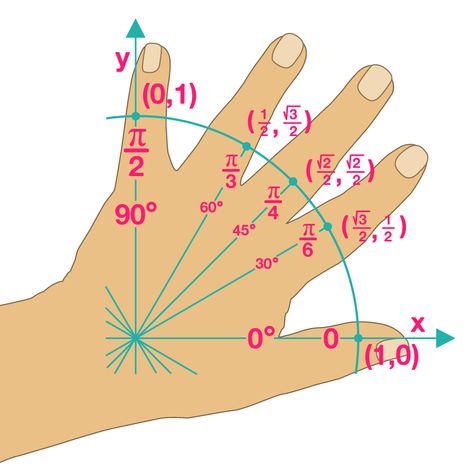 Unit Circle, Geometry Lessons, Hand Tricks, Math Homework Help, Learning Mathematics, Math Tutorials, Math Notes, Fun Math Games, Math Help