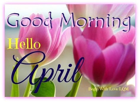 Good Morning Hello April Quote April Pictures, Good Morning Boyfriend Quotes, April Images, Happy New Month Quotes, April Quotes, Welcome Quotes, April April, Monthly Quotes, Mottos To Live By