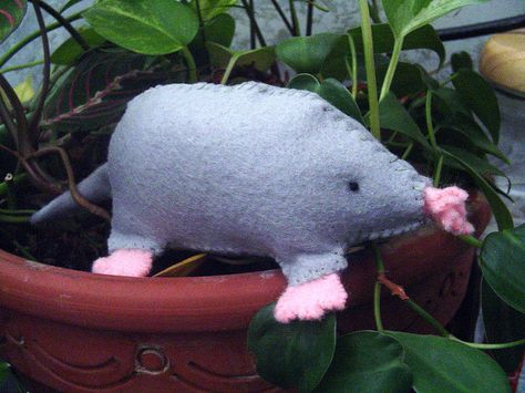 sew mole pattern | Recent Photos The Commons Getty Collection Galleries World Map App ... Mole Pattern To Sew, Make A Mole Chemistry Project, Mole Plush Pattern, Stuffed Mole Project Chemistry Ideas, Mole Pattern, Mole Plush, Mole Project, Mole Idea, Mole Cake