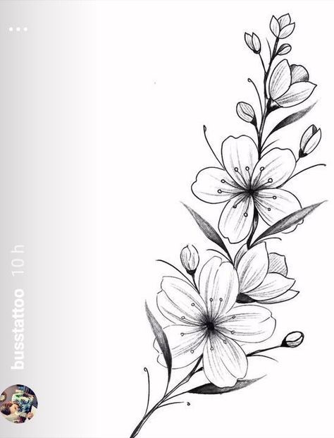 Flower Line Drawings, Flower Drawing Design, Blossom Tattoo, Cherry Blossom Tattoo, Floral Tattoo Design, Flower Sketches, Pola Sulam, Tattoo Feminina, Flower Tattoo Designs