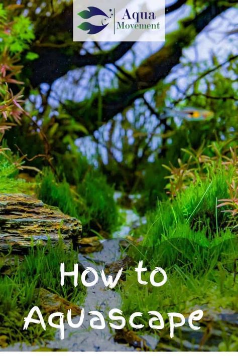 Aquascape Diy, Aquascaping Ideas, Turtle Aquarium, Freshwater Aquarium Plants, Aquascape Design, Betta Aquarium, Aquarium Ideas, Aquascape Aquarium, Floating Plants