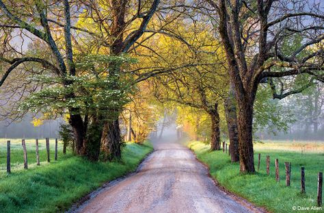 Long Weekend Locations | OutdoorPhotographer.com Tennessee Road Trip, Dave Allen, Fine Art Landscape Photography, Scenic Roads, Cades Cove, Great Smoky Mountains National Park, Smoky Mountain National Park, Fine Art Landscape, Smoky Mountain