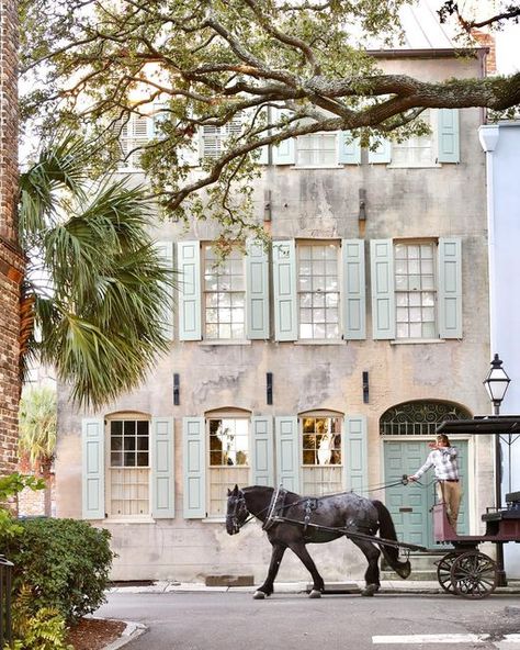 Over 50 Lifestyle in Charleston, SC. on Instagram: "Scenes of downtown Charleston. #socharleston #charlestonsc #charlestonsouthcarolina #lowcountryliving #archilover #architecture #charlestonhomes #architecturelover #architecture #architecturaldigest #traditionalhome #betterhomesandgardens #southernliving #slhomes #mysouthernliving #southernarchitecture #southerncharm #southernhome #southernstyle #classicalarchitecture #historichouse #historichome #oldhouselove #traditionalhome #housebeautiful # Charleston Sc Interiors, Charleston Historic Homes, Charleston In The Fall, Charleston Sc Aesthetic, Charleston South Carolina Vacation, Charleston Aesthetic, Charleston Sc Things To Do, Charleston Living, Charleston Summer