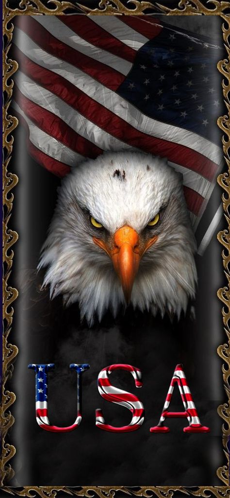 American Eagle Art, Patriotic Wallpaper, America Flag Wallpaper, Eagle And Flag, 4th Of July Wallpaper, Christ Artwork, Patriotic Tattoos, Patriotic Images, Patriotic Pictures