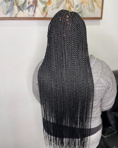 INTRODUCING Hairnergy Braids Look Book. -Senegalese Twist- Our look book will help you with: 🪄 INSPIRATION 🪄 VISUALIZATION 🪄 CONFIDENCE 🪄 EASY SELECTION 🪄 TRENDS. So Stay tuned. Don’t forget to Like and Save this post.. . #hairstyle #hairtrends #senegalesetwists #twistbraids #guelphsalon #guelphbraider #braids #guelph #kitchenerbraids #kitchenersalon #waterloobraider #waterloosalon #fergussalon #africanbraiders #miltonsalon #simplehairstyles #naturalhairstyles #afrohairstyle #Hairsty... Senegalese Braids, Senegalese Twists, Senegalese Twist, Braid Hairstyles, Twist Braids, Look Book, Afro Hairstyles, Waist Length, Hair Trends