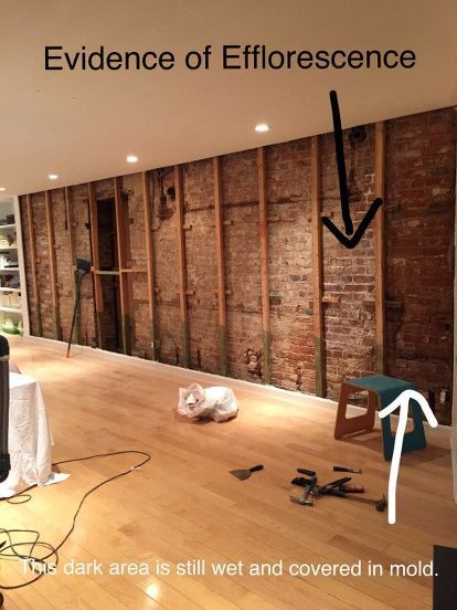 This is the most dramatic wall makeover we have EVER seen! Welcome to the living room of my 100-year-old condo downtown. It doesn't look that old, which is usually quite the compliment, except in this case it means my home was stripped of all character. Brick Veneer Panels, Diy Faux Brick Wall, Faux Brick Backsplash, How To Clean Brick, Dramatic Walls, Brick Accent Walls, Faux Brick Panels, Brick Interior Wall, Wall Makeover