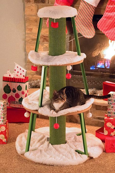 Get Your Cat to Stop Climbing Your Christmas Tree With These 20 Alternatives Cat Proof Christmas Tree, Cat Scratcher Tree, Large Cat Tree, Cat Proofing, Cat Christmas Tree, Alternative Christmas Tree, Black Christmas Trees, Cat Holidays, Holiday Christmas Tree