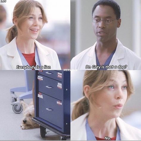 2.14 Greys Anatomy Season 2, Greys Anatomy Episodes, Grays Anatomy Tv, Greys Anatomy Funny, Greys Anatomy Characters, Greys Anatomy Memes, Grey Anatomy Quotes, Grey's Anatomy Quotes, Anatomy Quote