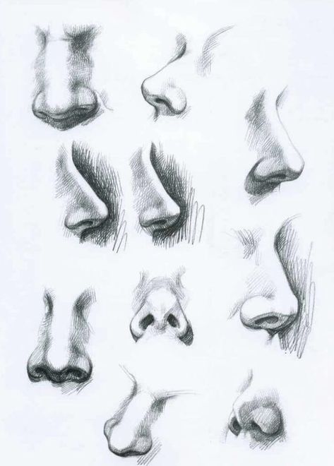 10 Amazing Nose Drawing Tutorials & Ideas - Brighter Craft Noses Sketch, Realistic Nose Drawing, Different Noses, Nose Sketch, Mouth Anatomy, Realistic Eye Drawing, Desen Realist, Drawing Eyes, Nose Drawing