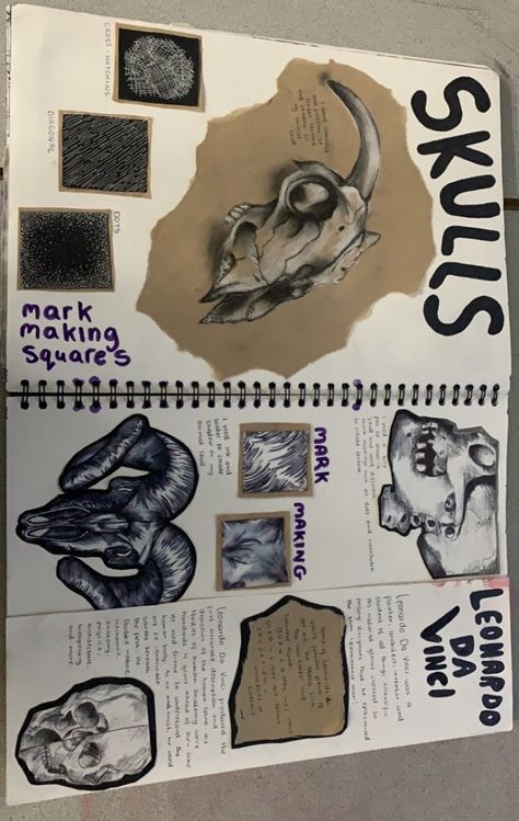 Skeleton Sketchbook Page, Skeleton Art Gcse, Skull Sketchbook Page, Artist Sketchbook Pages, Shells Gcse Art Sketchbook Pages, Skull Gcse Art Page, A Level Art Sketchbook Still Life, Leaving Cert Art Sketchbook, Gcse Art Layers