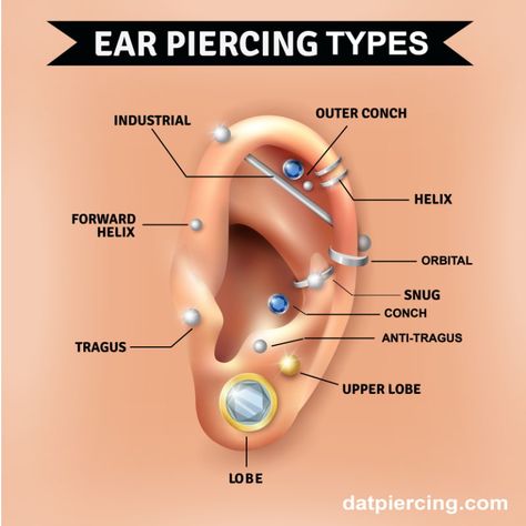 Piercing Diagram, Ear Piercing Diagram, Ear Piercing Places, Ear Diagram, Ear Piercing Names, Outer Conch Piercing, Piercing Types, Ear Piercings Industrial, Ear Peircings